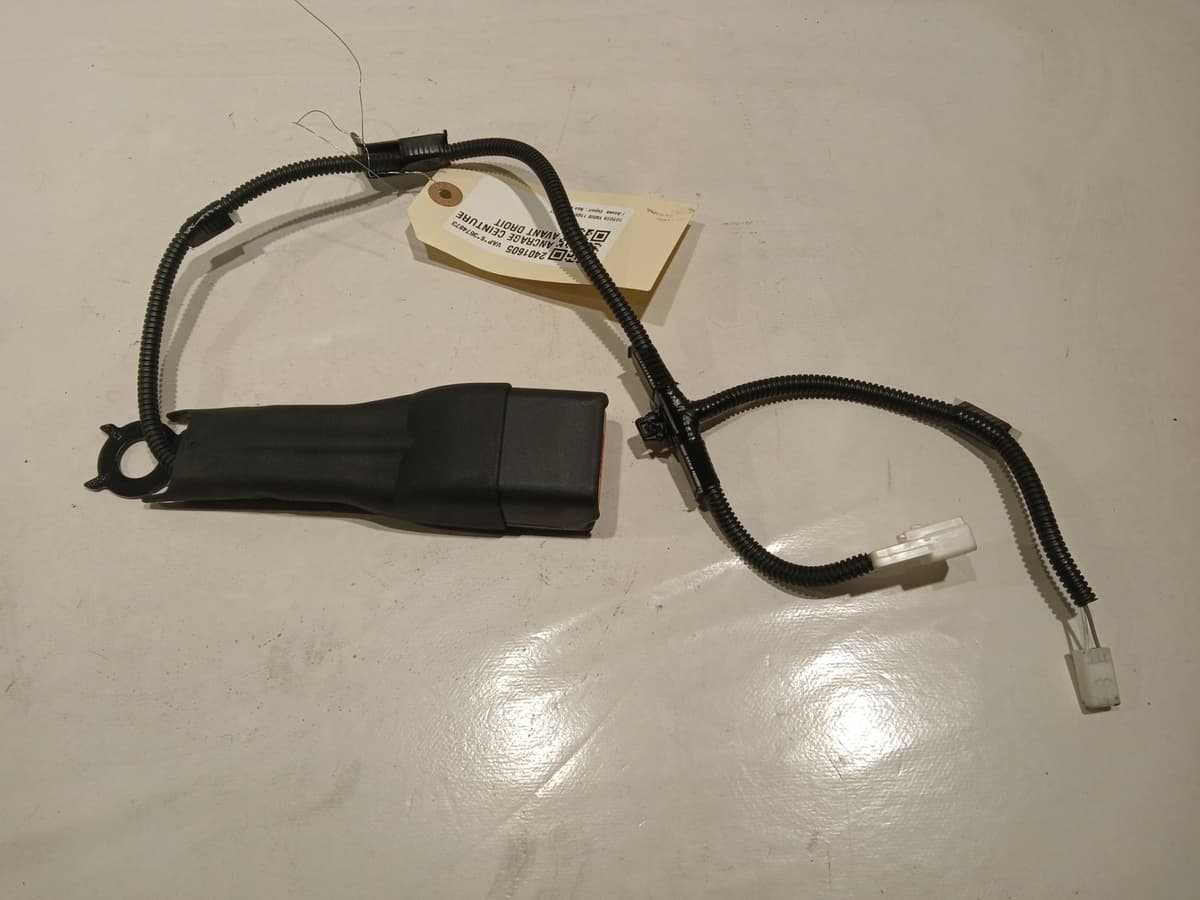 Image sélectionnée