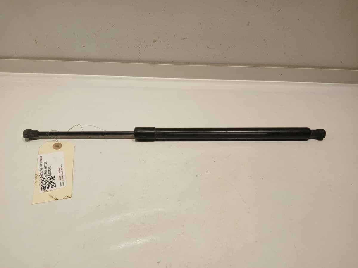 Image sélectionnée