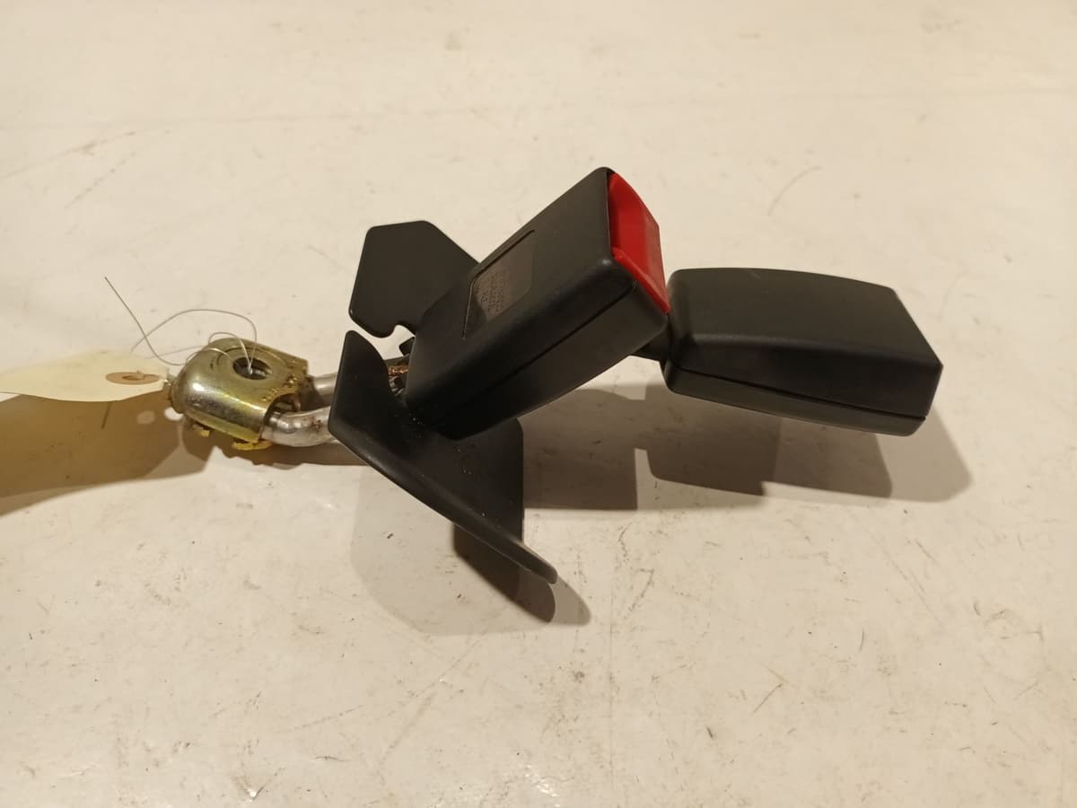 Image sélectionnée