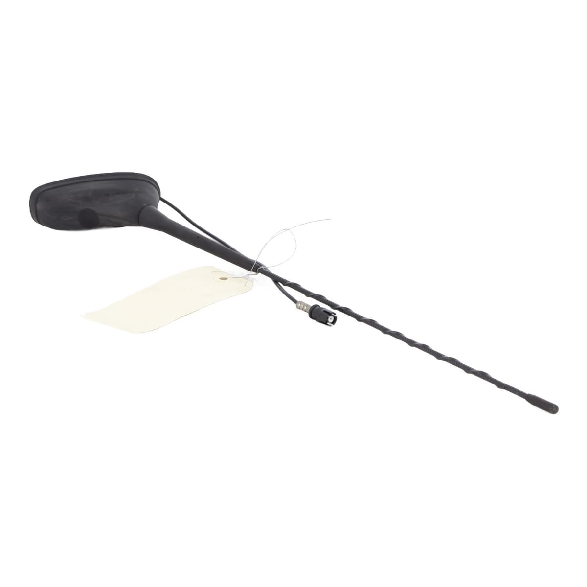 Image sélectionnée