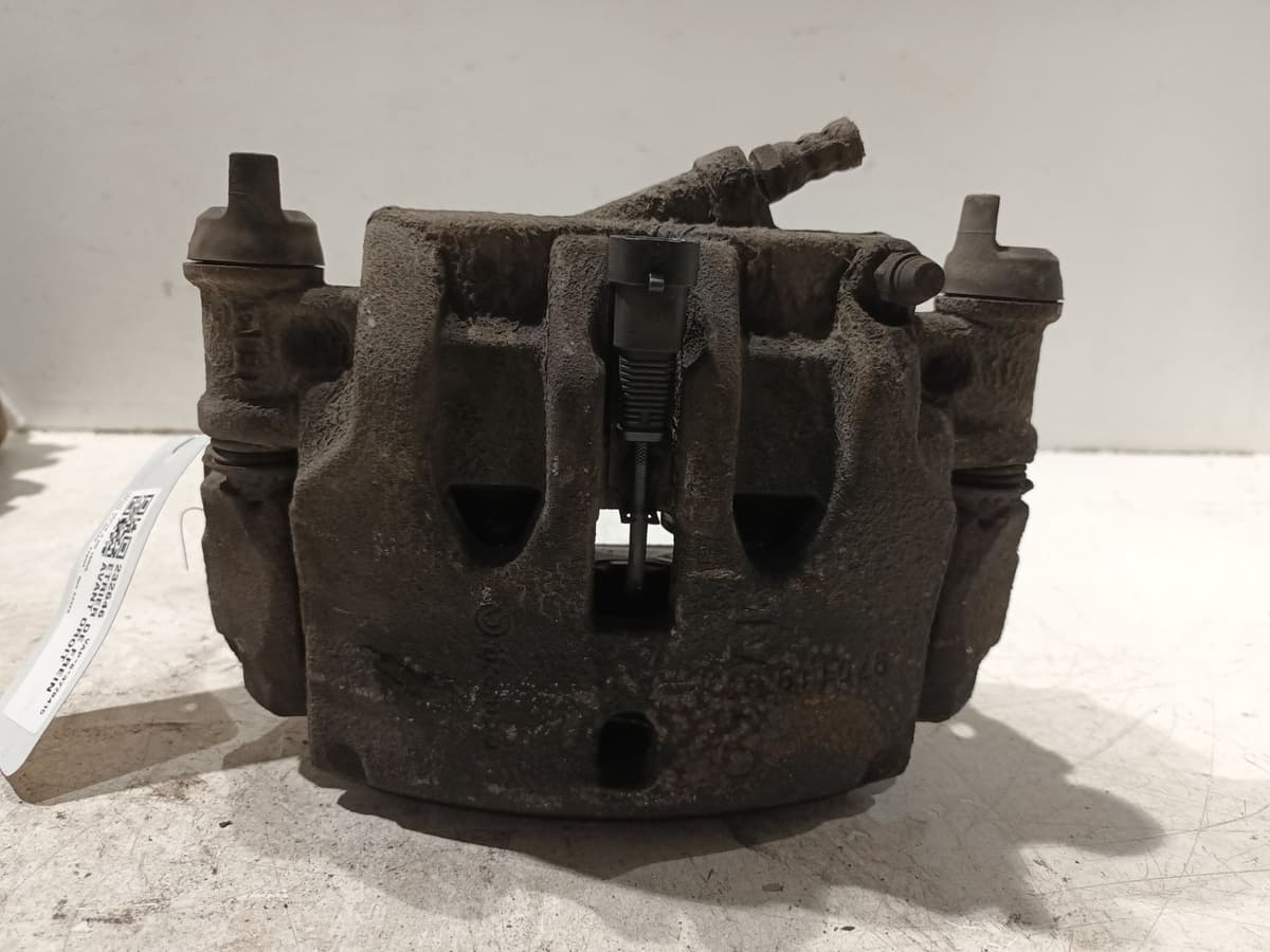 Image sélectionnée