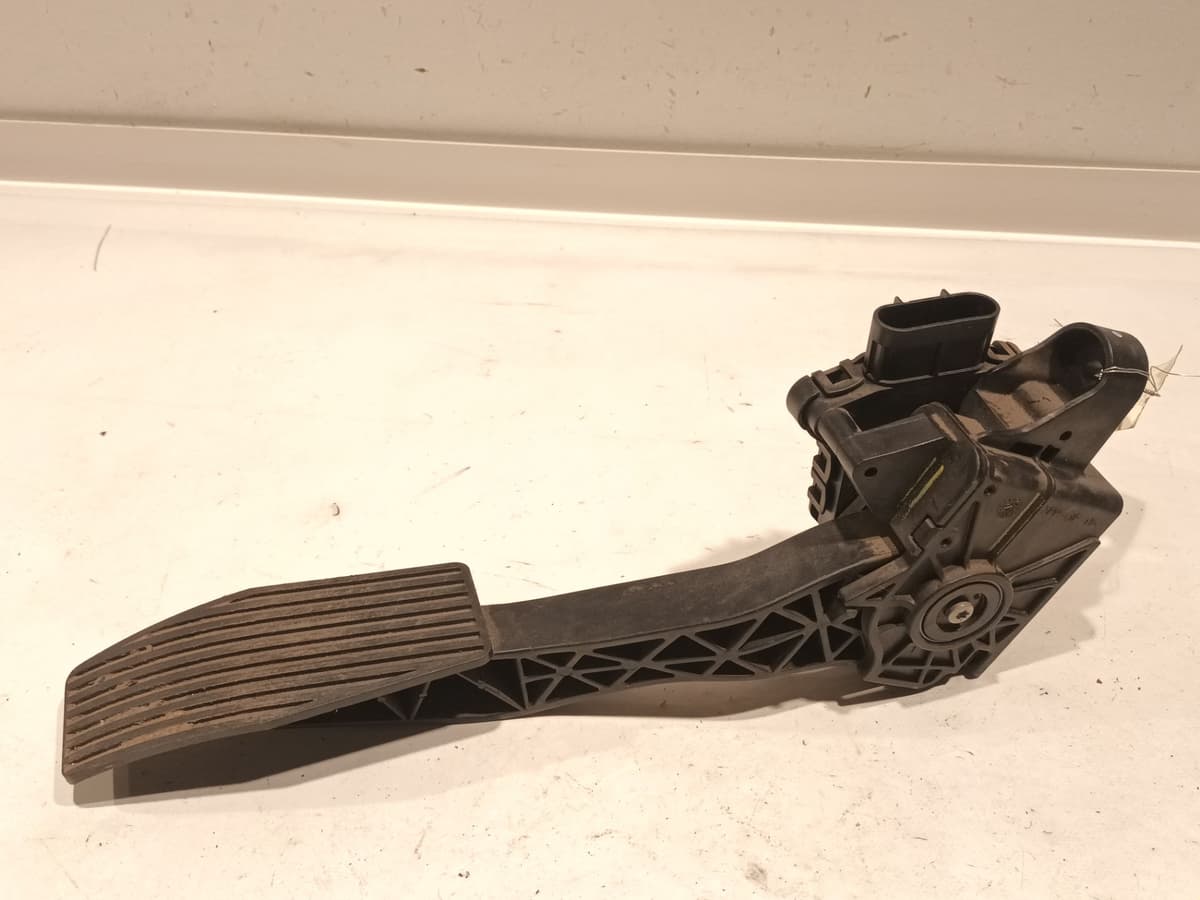 Image sélectionnée