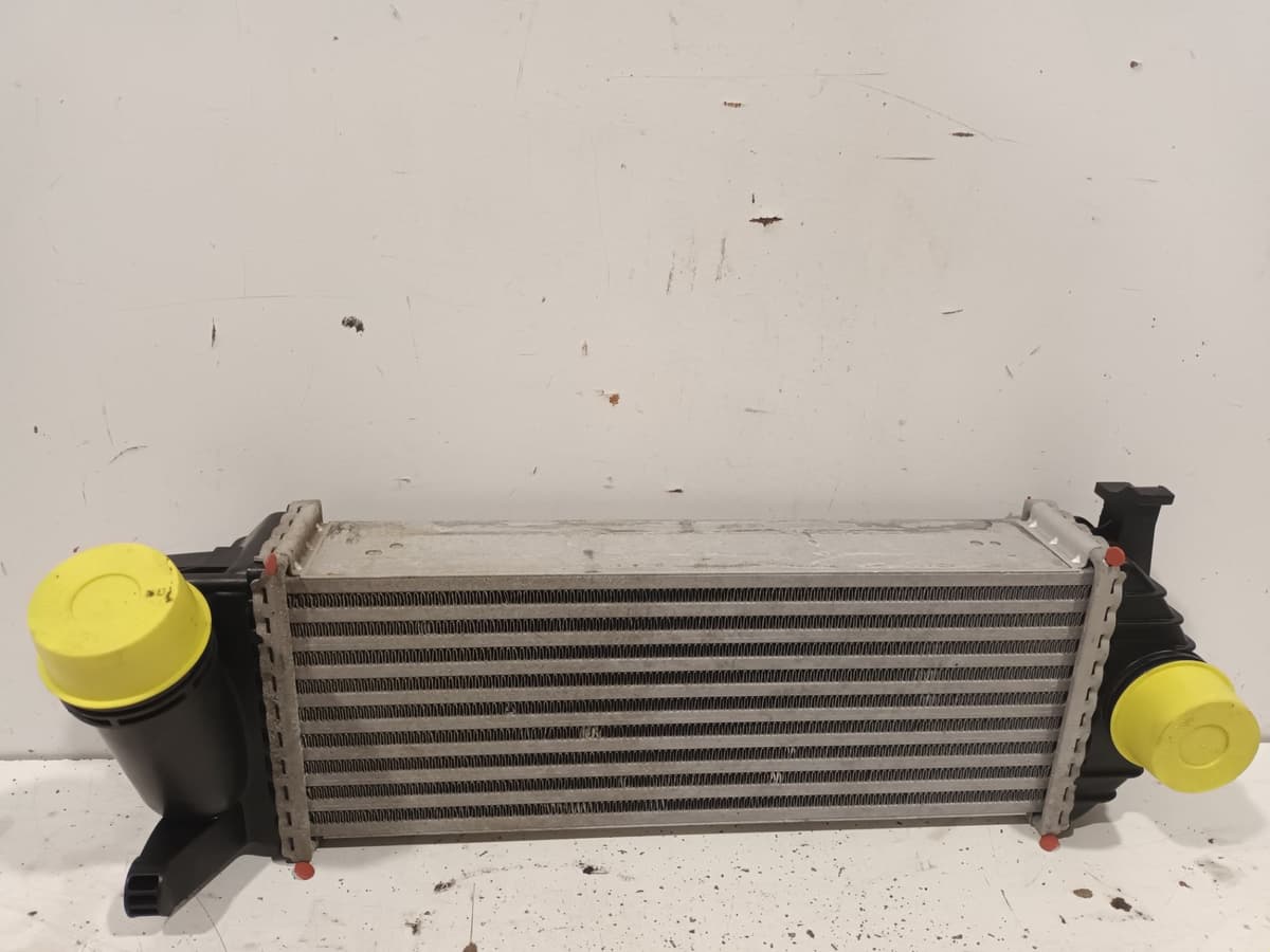 Image sélectionnée
