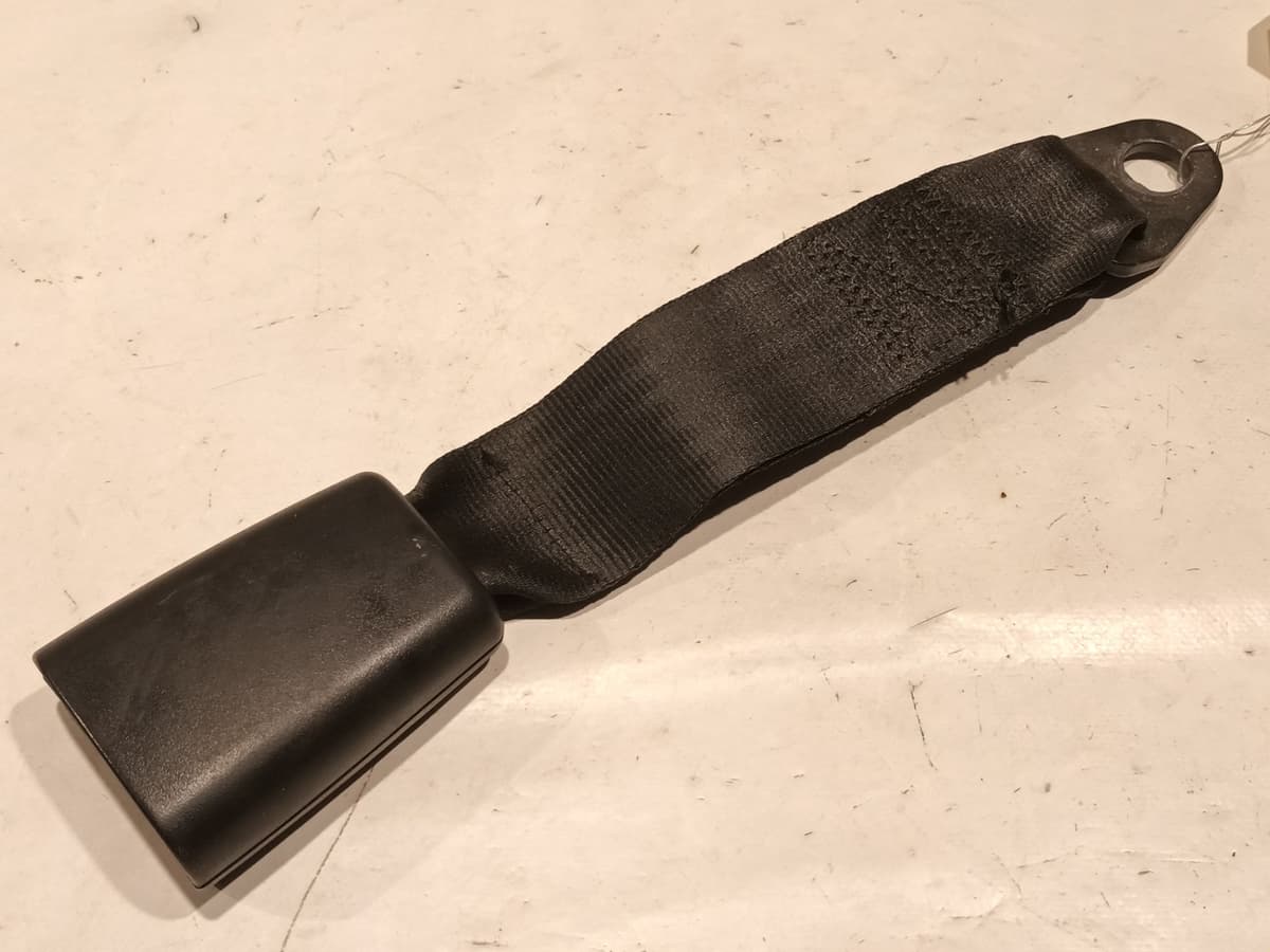 Image sélectionnée