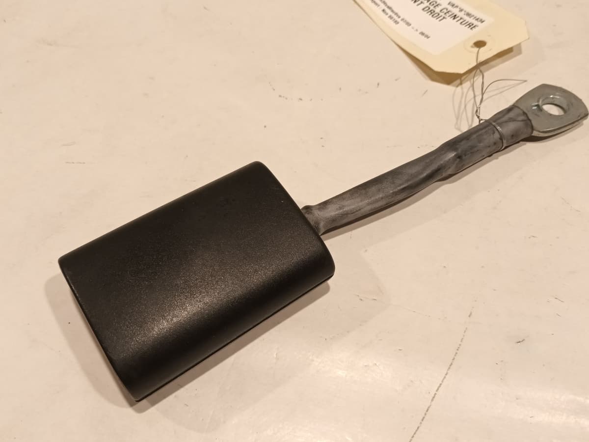 Image sélectionnée