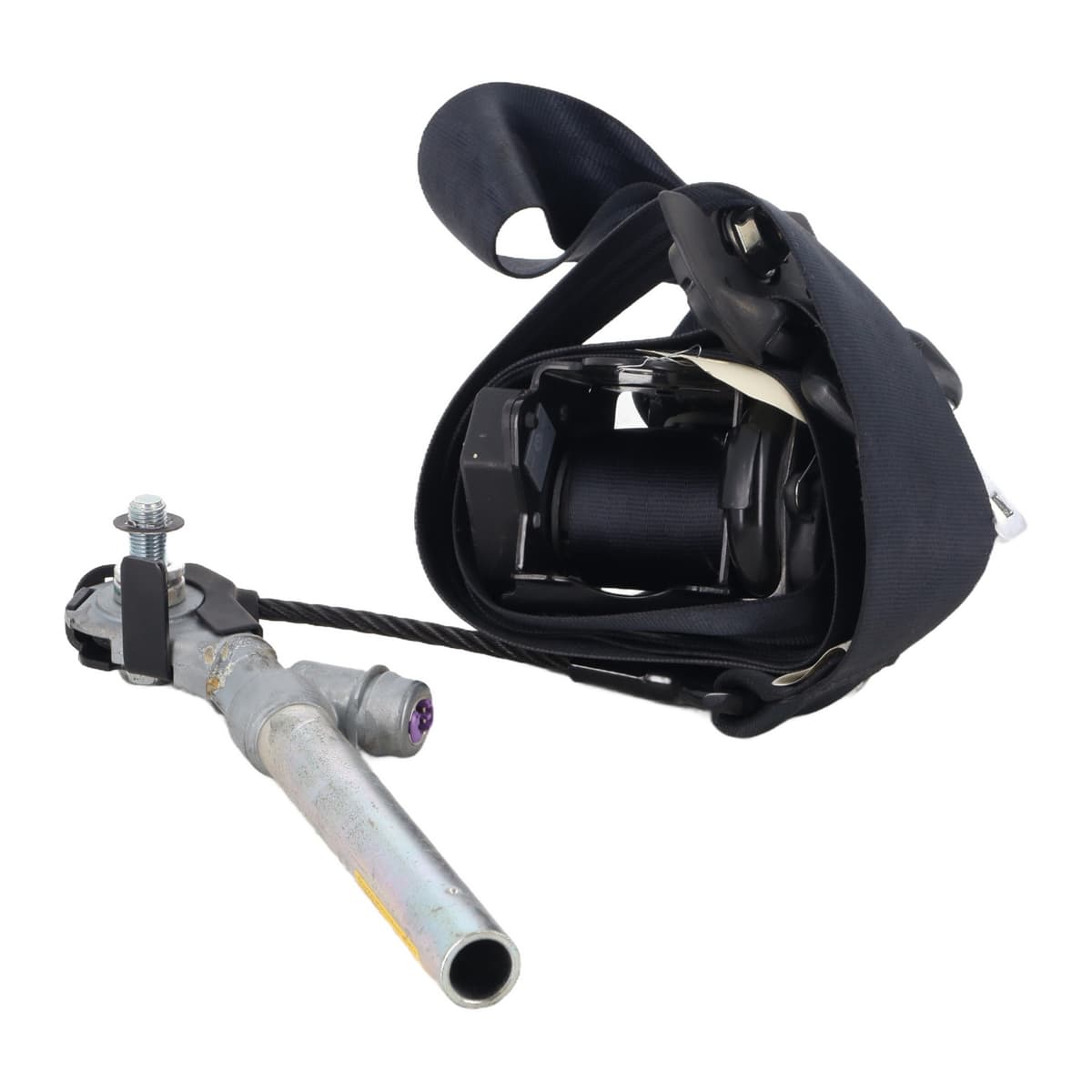 Image sélectionnée