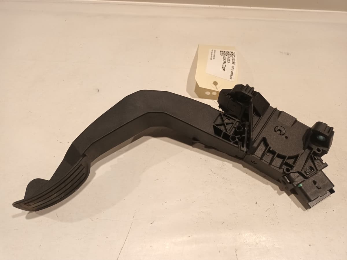 Image sélectionnée