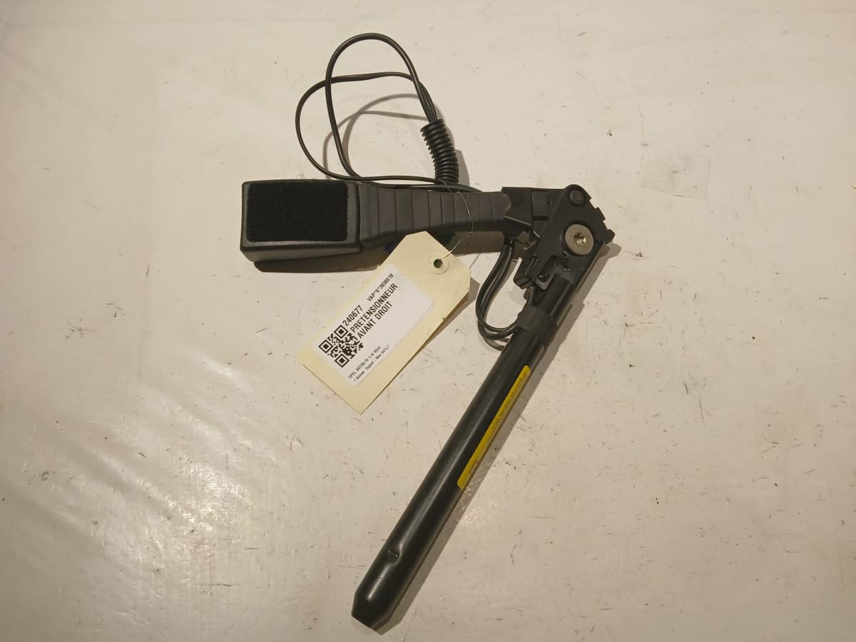 Image sélectionnée
