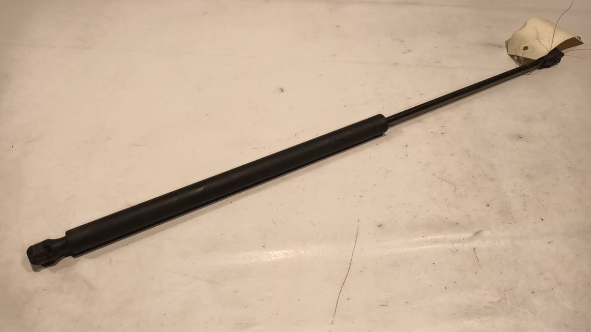 Image sélectionnée