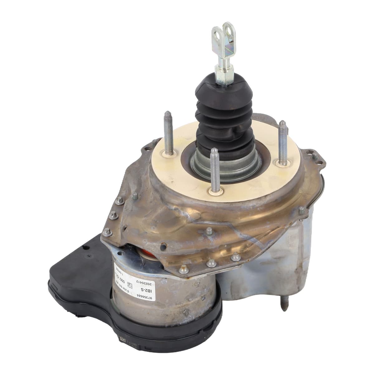 Image sélectionnée