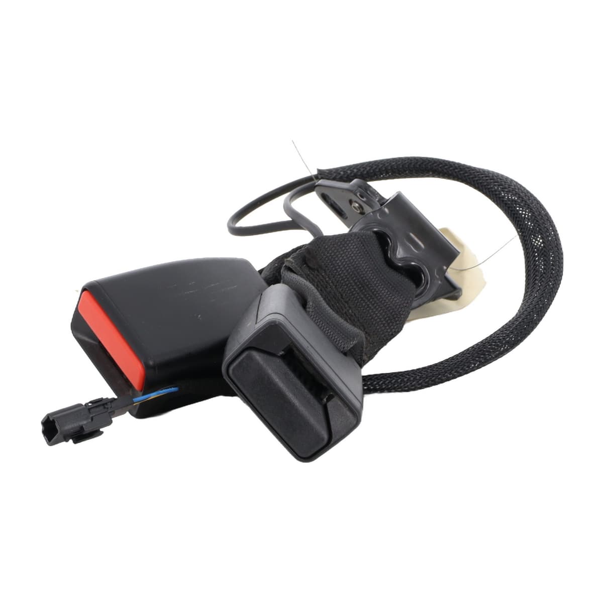 Image sélectionnée