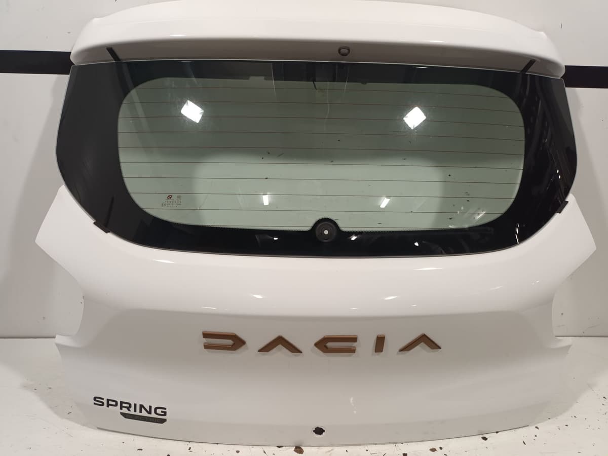 Malle / hayon / coffre — DACIA — SPRING — OE 901002133R — occasion garantie 2 ans