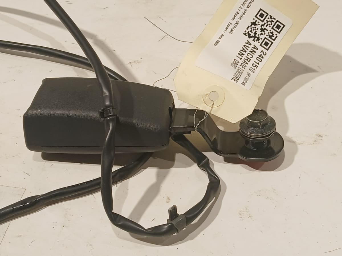 Image sélectionnée