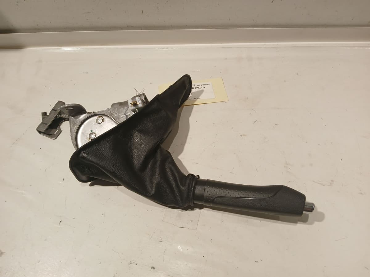 Image sélectionnée