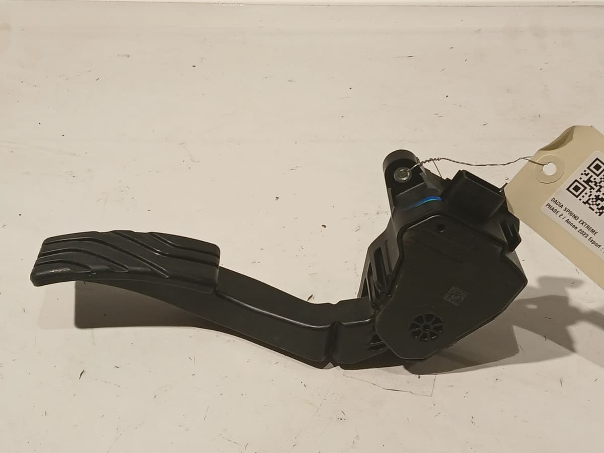 Image sélectionnée