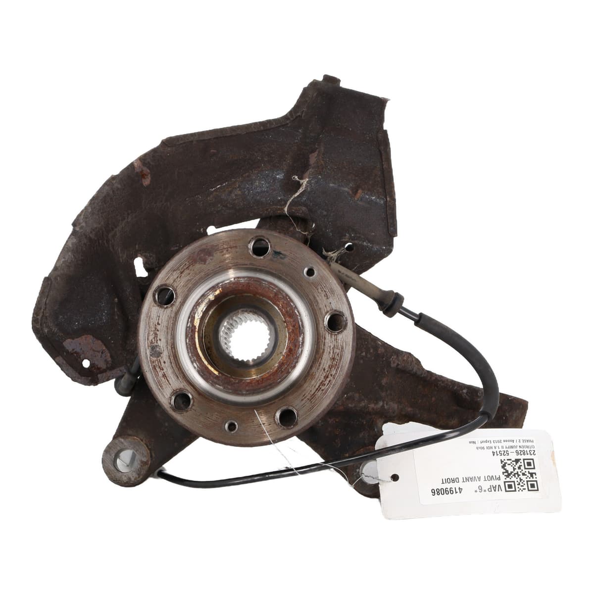 Image sélectionnée