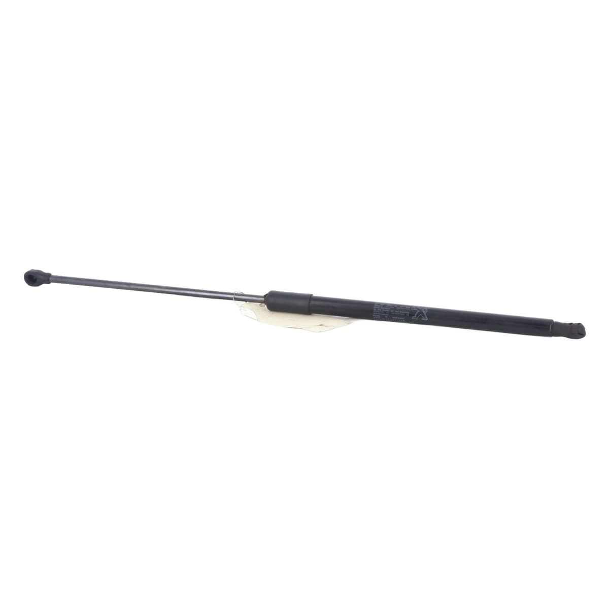 Image sélectionnée
