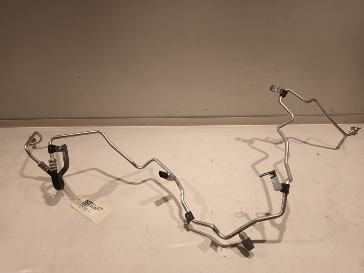 Image sélectionnée