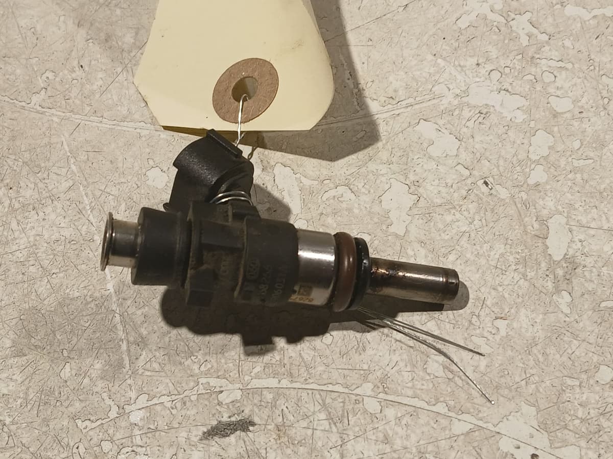 Image sélectionnée