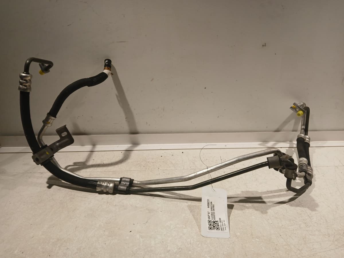 Image sélectionnée