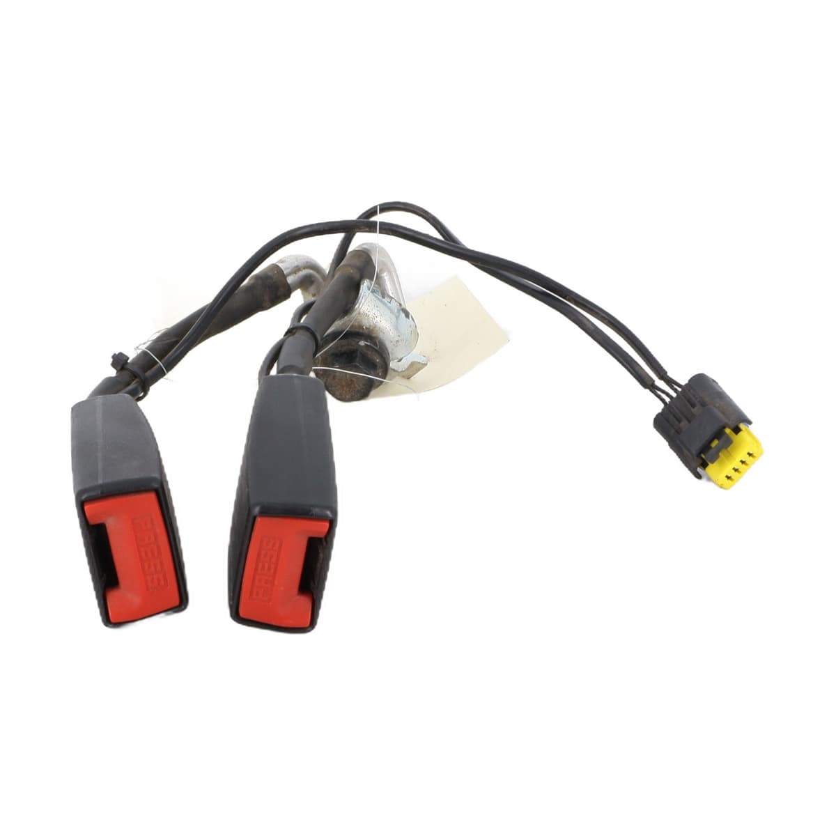 Image sélectionnée