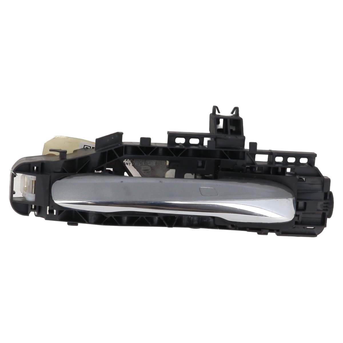 Image sélectionnée