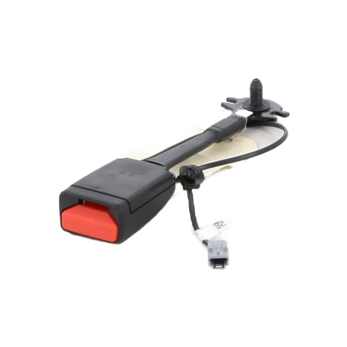 Image sélectionnée