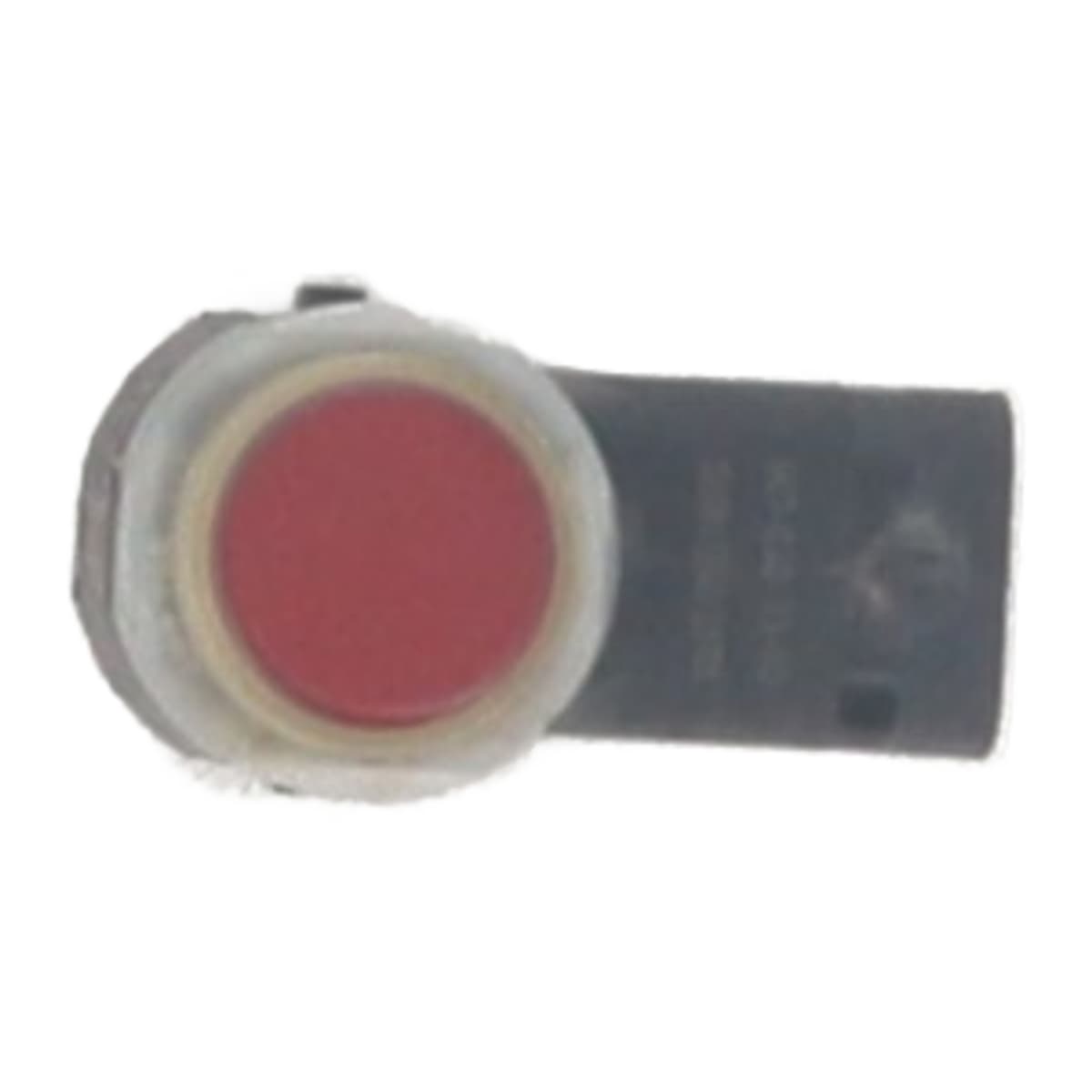 Image sélectionnée