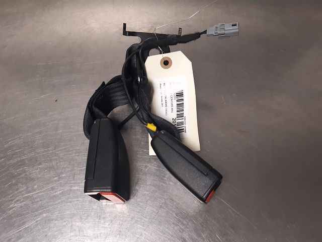 Image sélectionnée