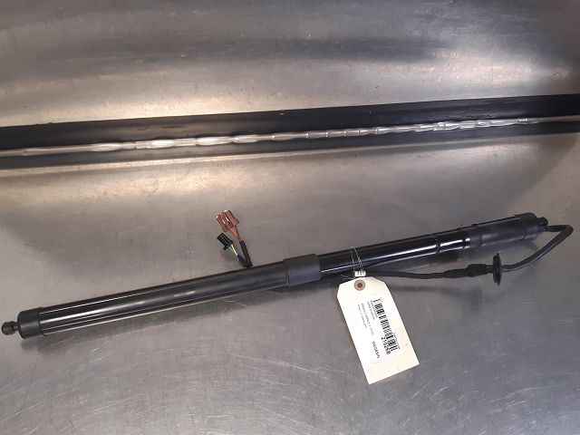 Image sélectionnée