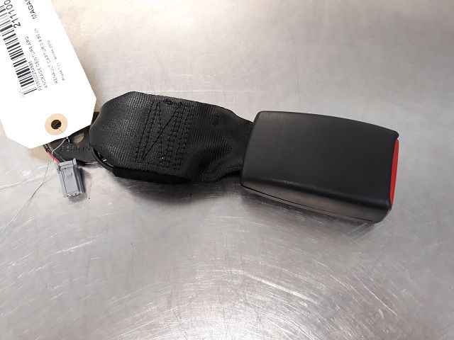 Image sélectionnée