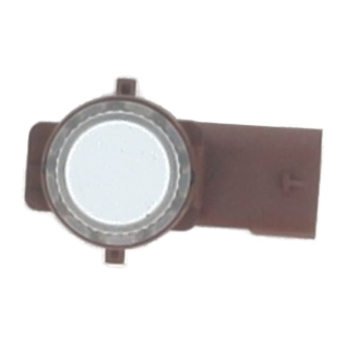 Image sélectionnée