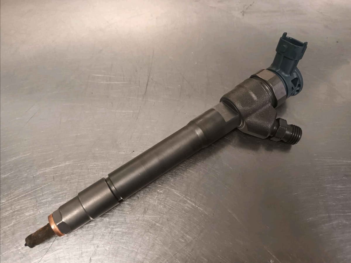 Image sélectionnée