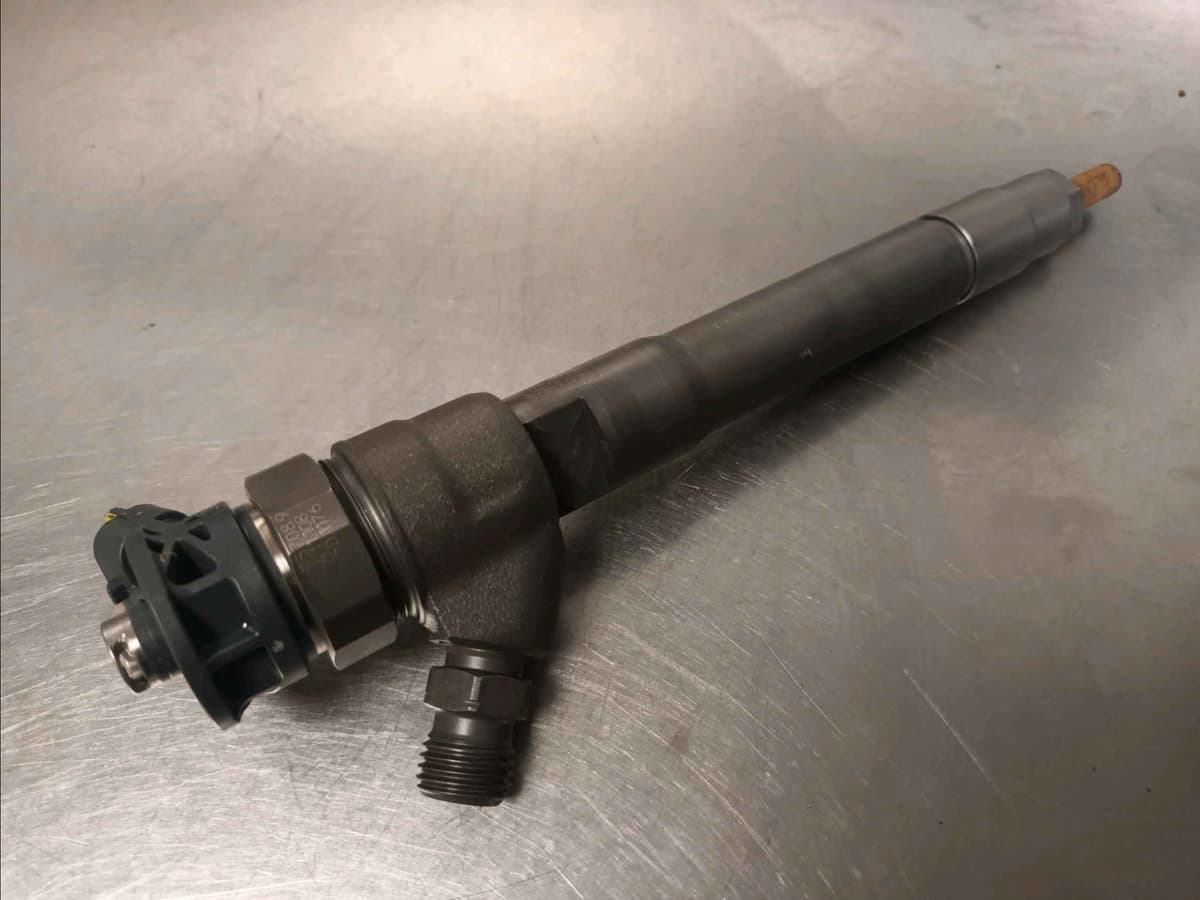 Image sélectionnée