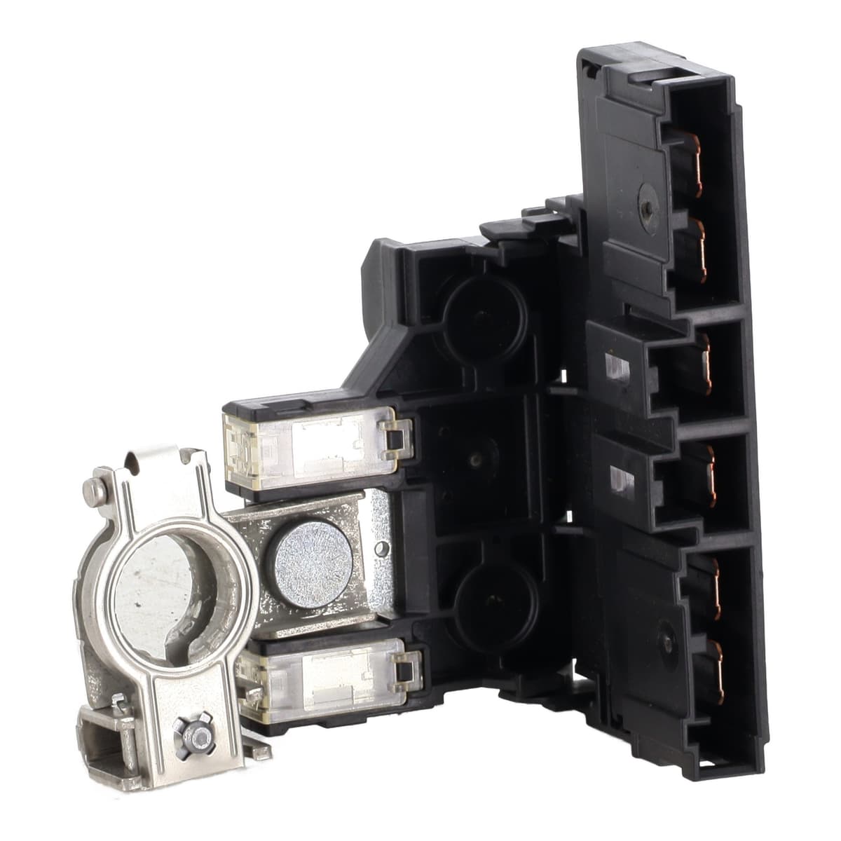 Image sélectionnée