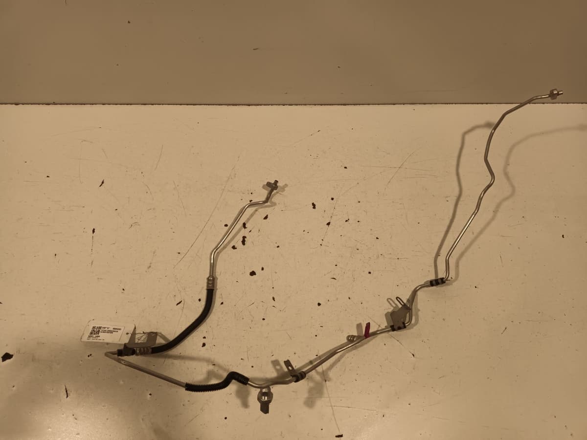 Image sélectionnée