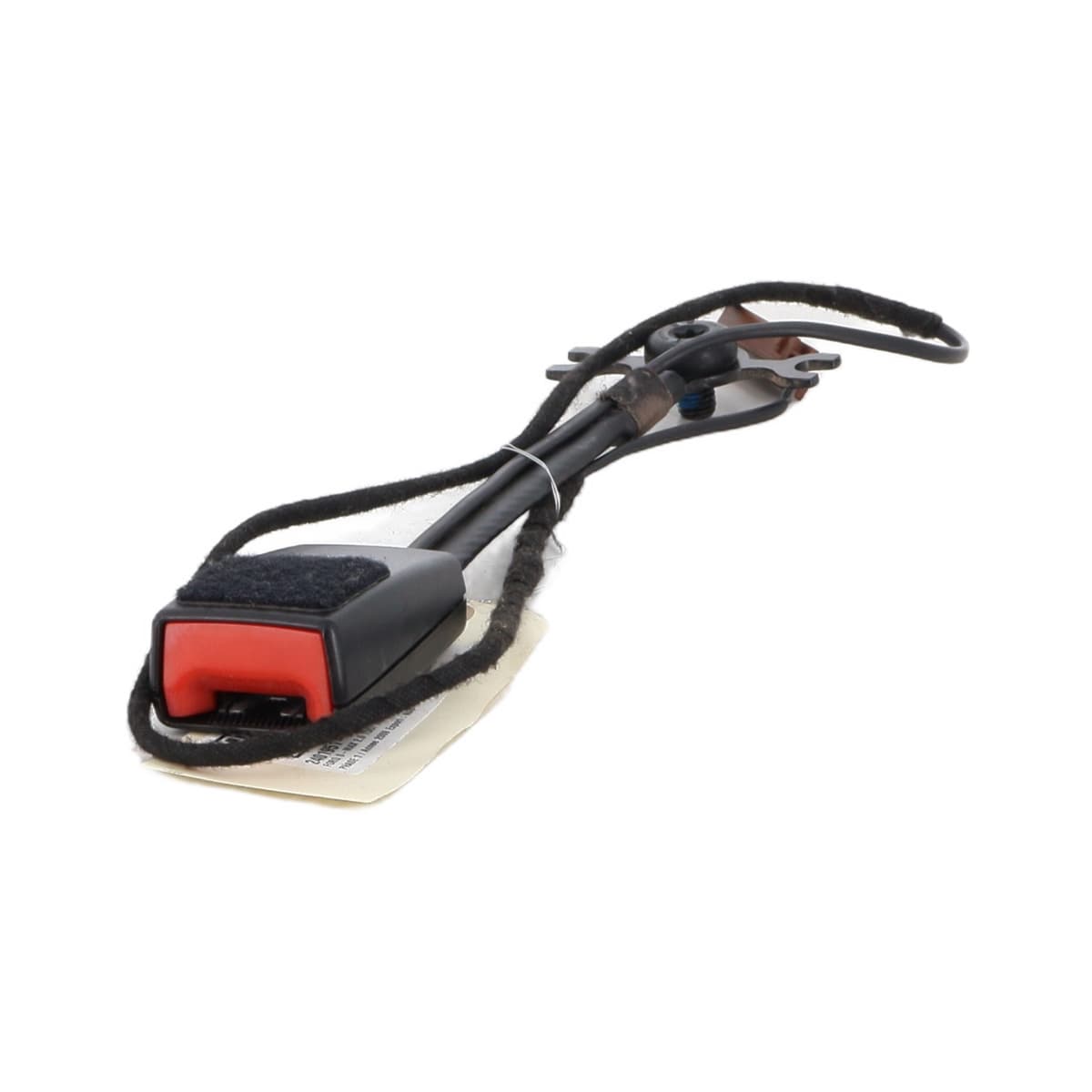 Image sélectionnée