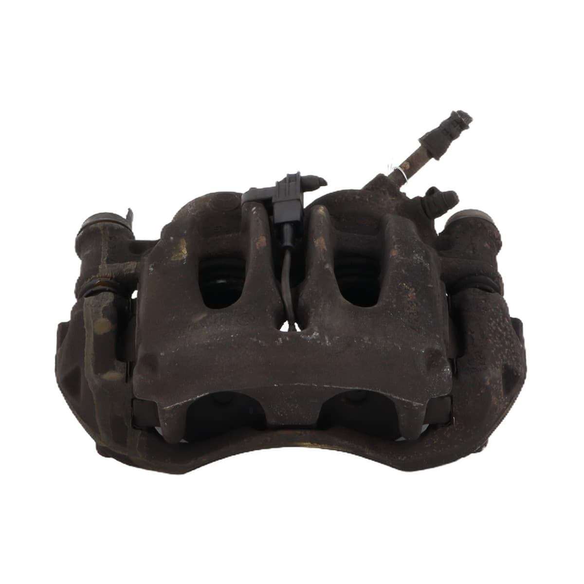 Image sélectionnée