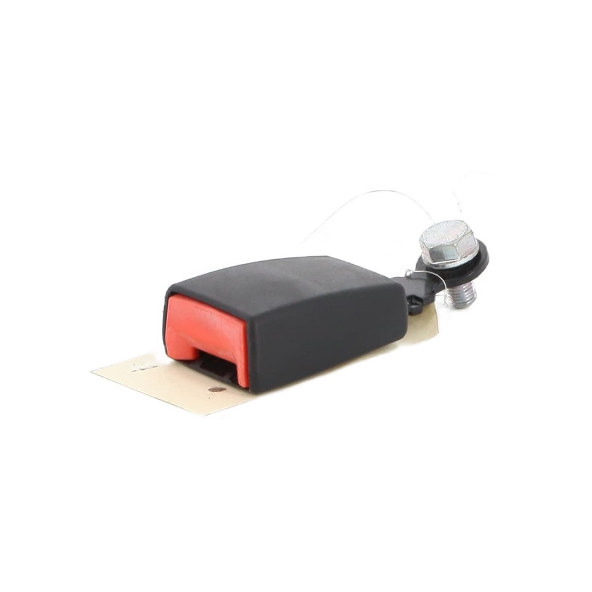 Image sélectionnée