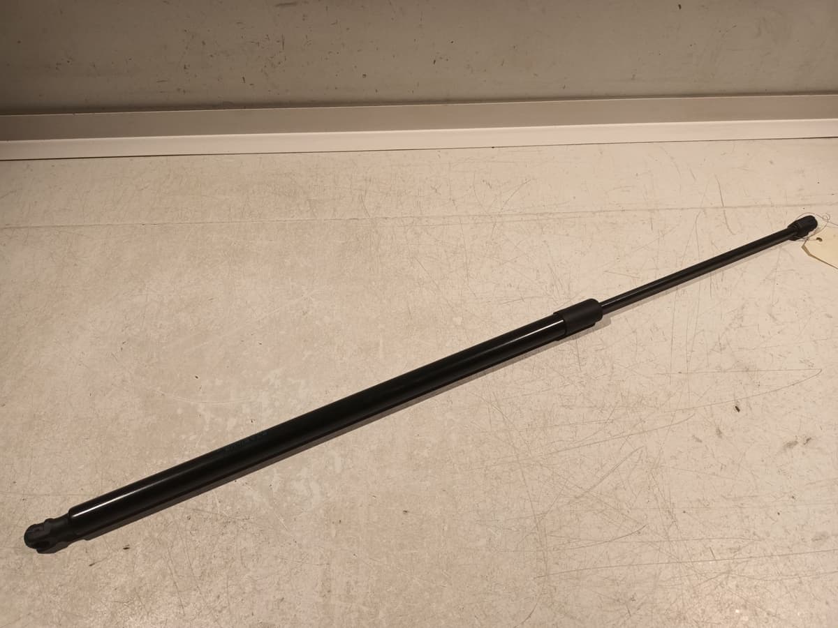 Image sélectionnée