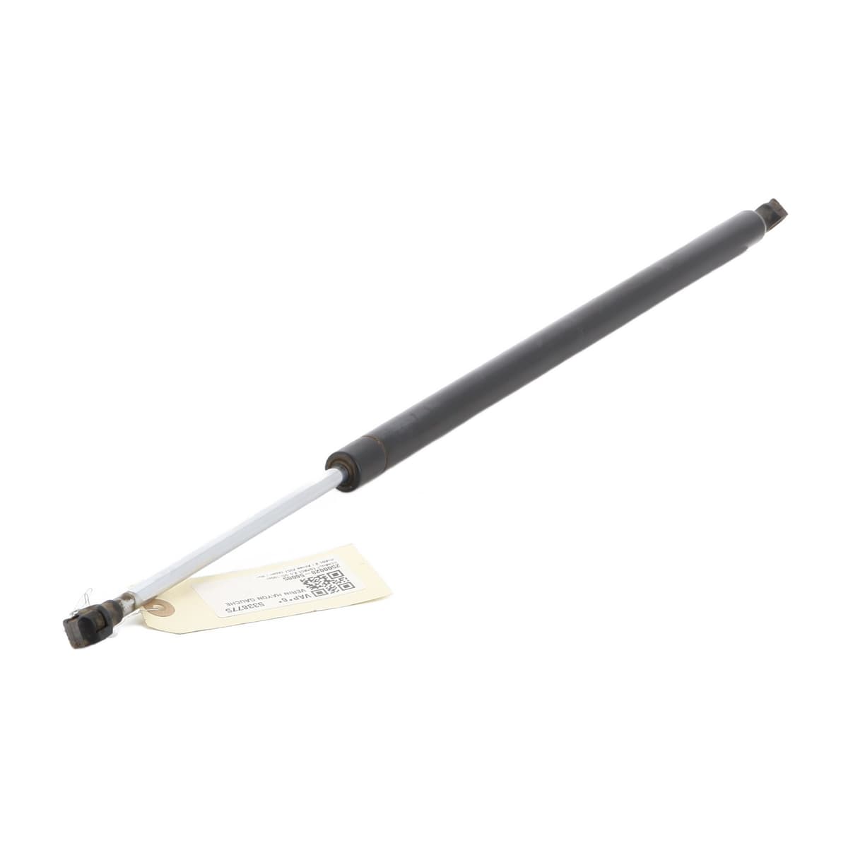 Image sélectionnée