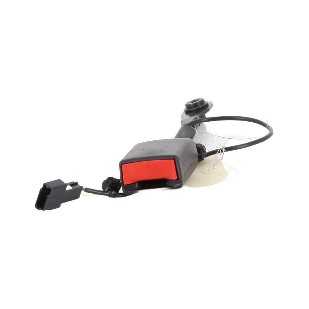 Image sélectionnée