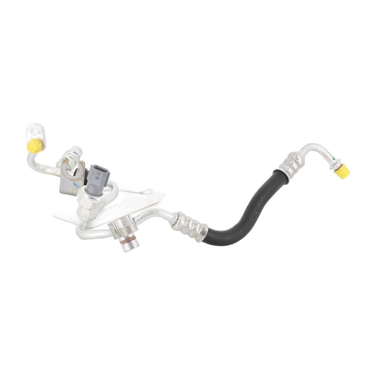 Image sélectionnée