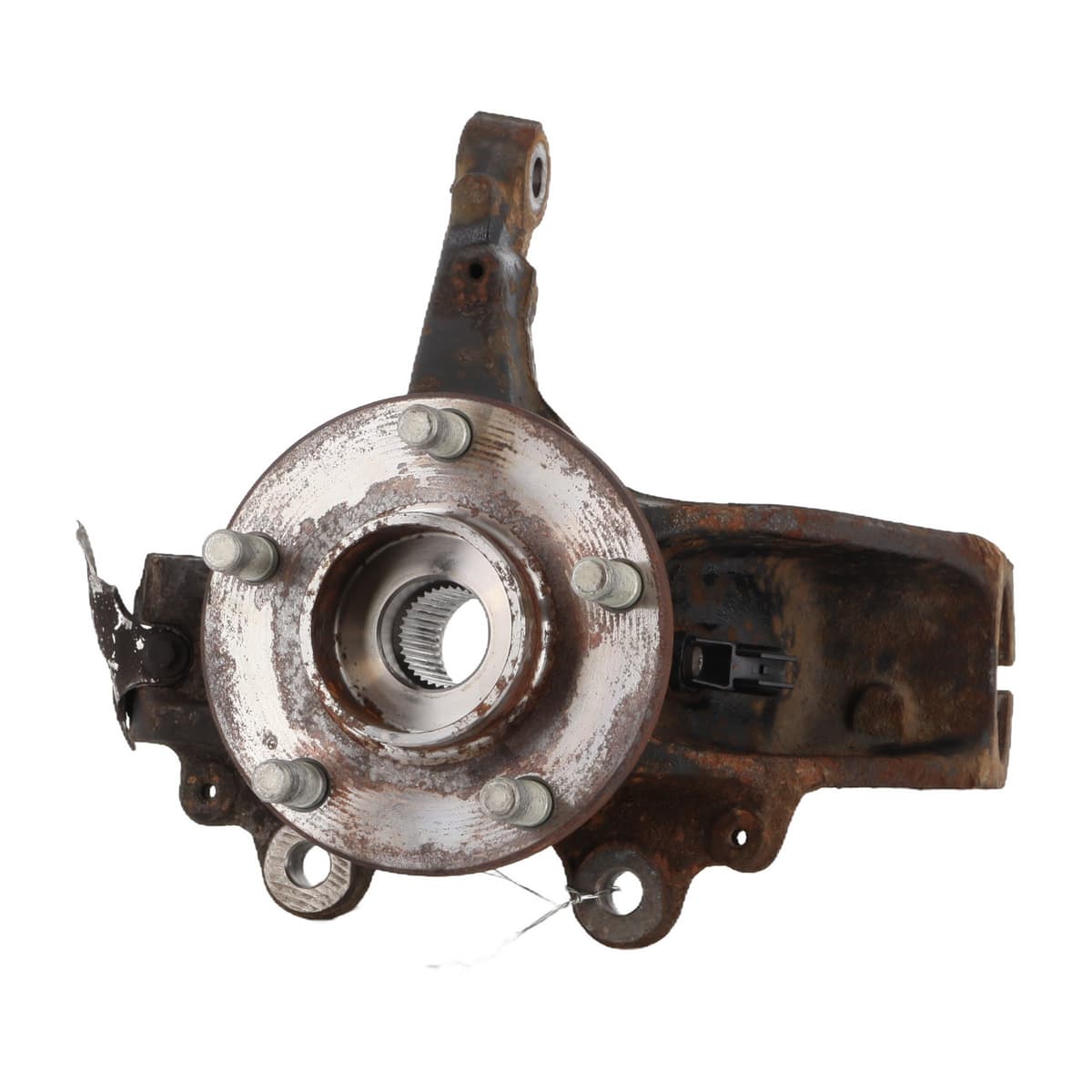 Image sélectionnée