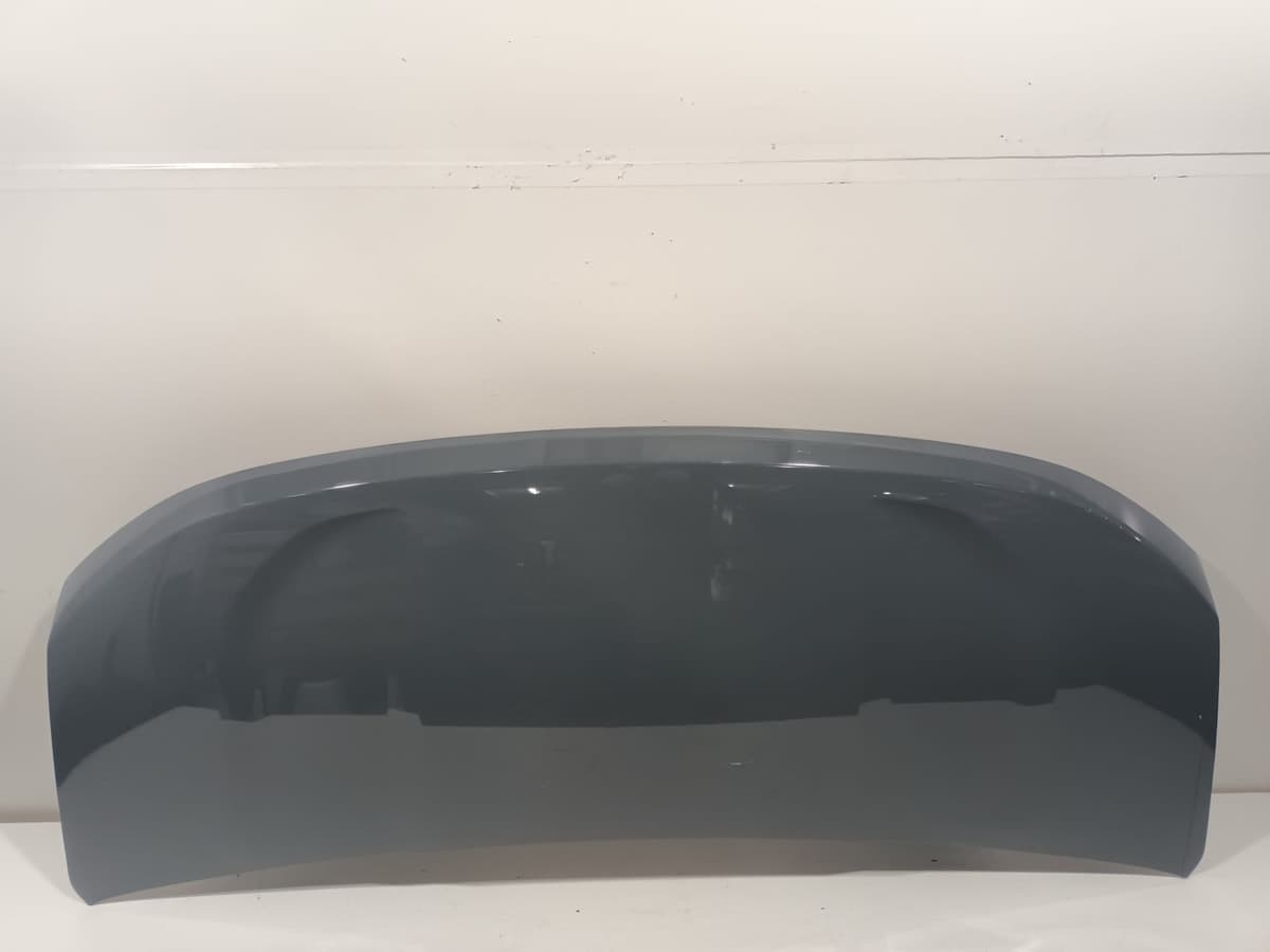 Capot — RENAULT — MASTER IV — OE 651003647R — occasion garantie 2 ans