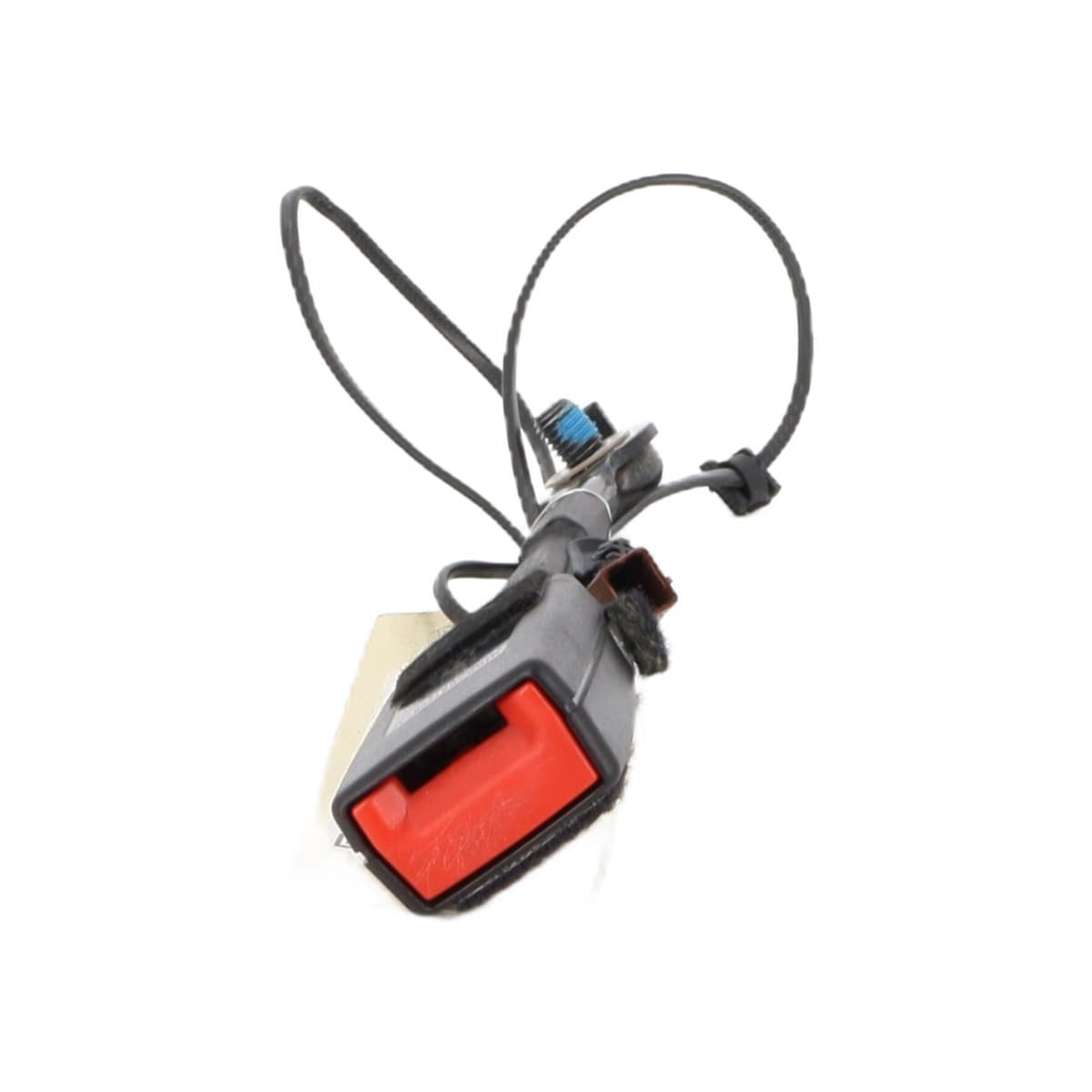 Image sélectionnée