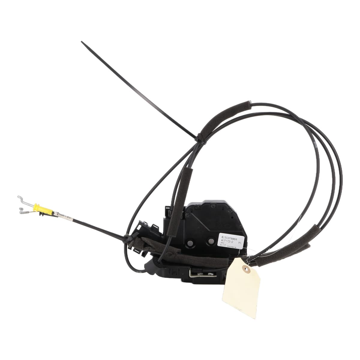 Image sélectionnée