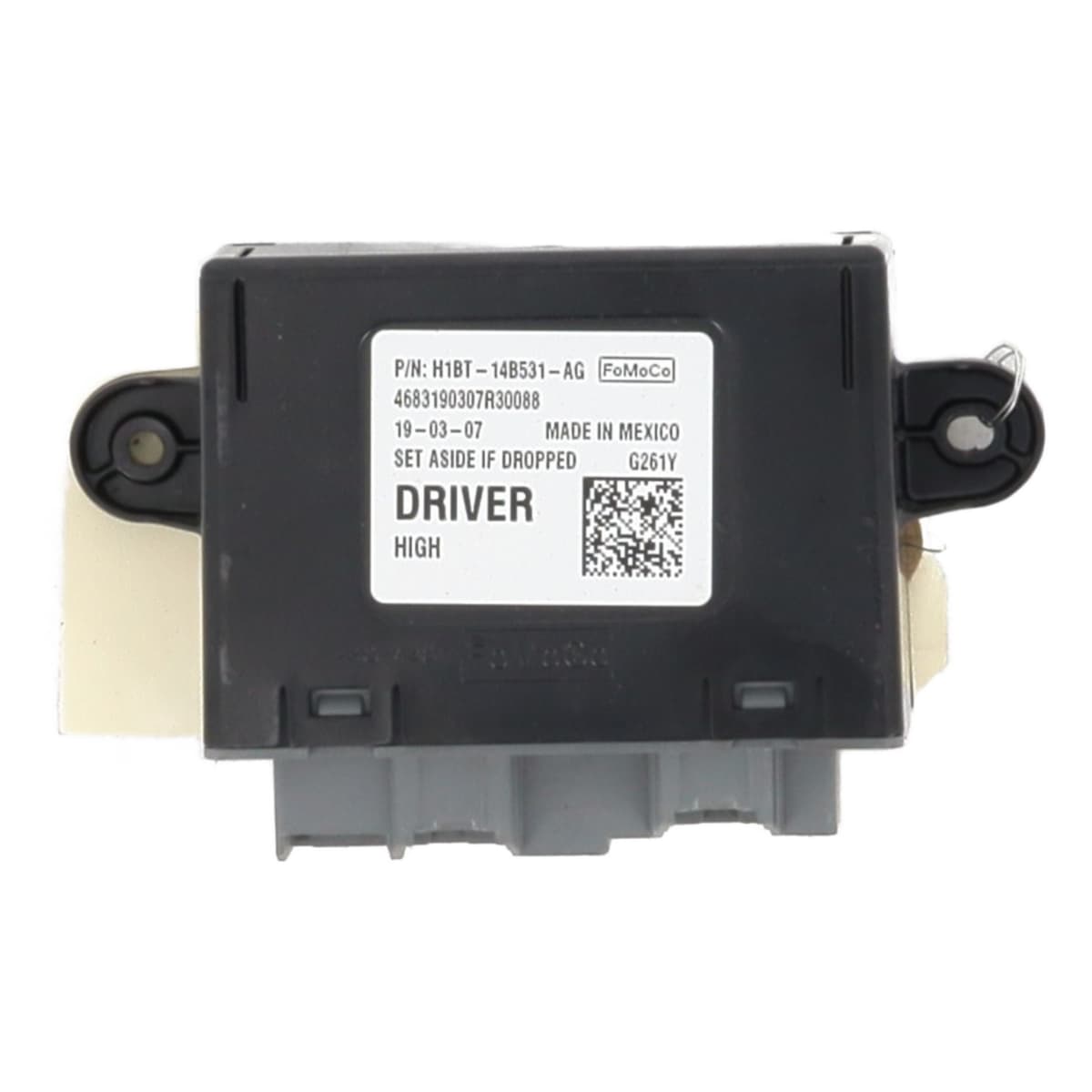 Image sélectionnée