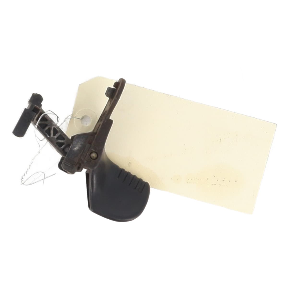 Image sélectionnée