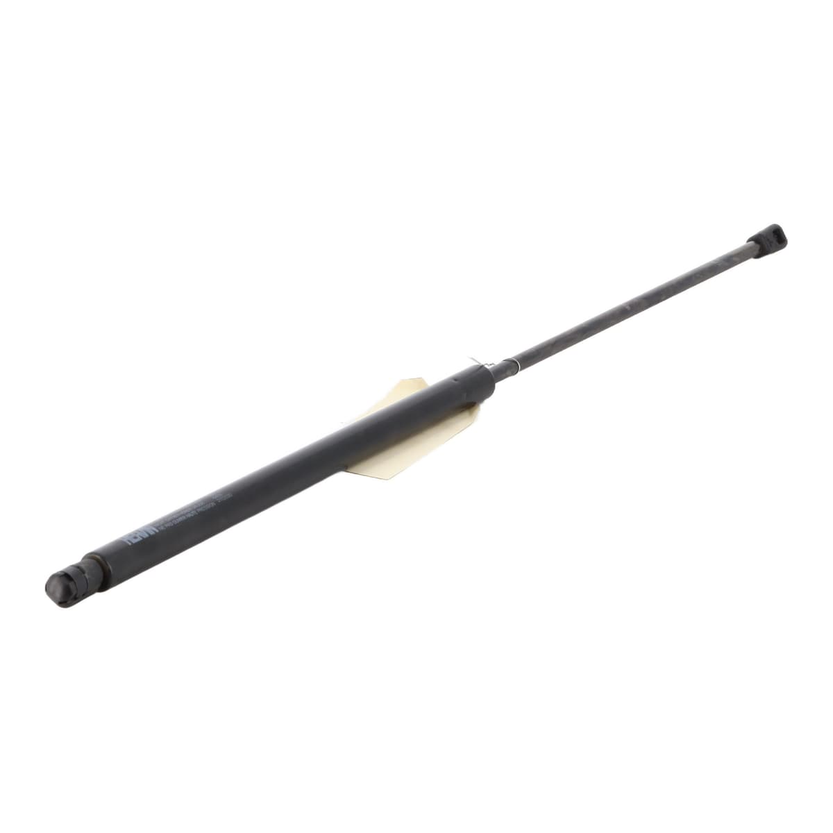 Image sélectionnée